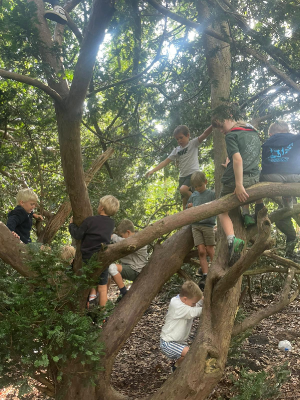 Sint-Martinus den XIIde - Opening 2024